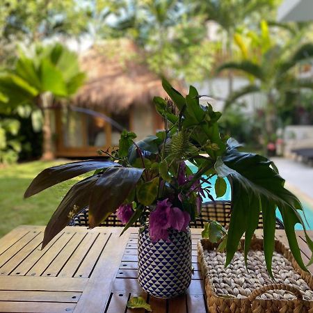 Luxury Private Villas , Private Pool, Private Garden, Jacuzzi, 24Hours Security Tulum Extérieur photo