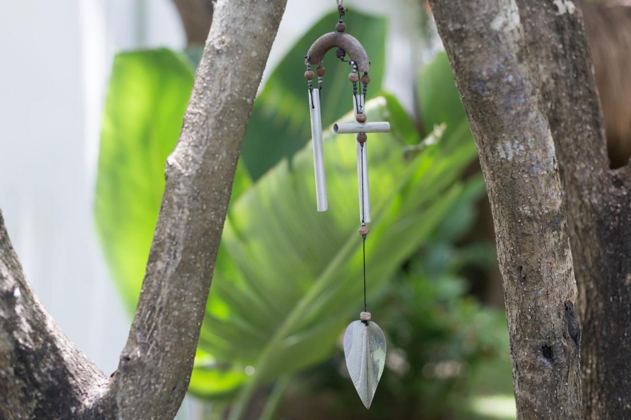Luxury Private Villas , Private Pool, Private Garden, Jacuzzi, 24Hours Security Tulum Extérieur photo